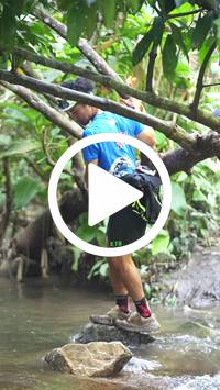 BIB:  <button type="button" onclick="openModal(27528908)" class="btn btn-primary btn-sm float-right" data-toggle="modal" data-target=".modal-high-quality">
                <i class="fa fa-download"></i> Download
                </button>